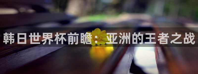 韩日世界杯前瞻：亚洲的王者之战