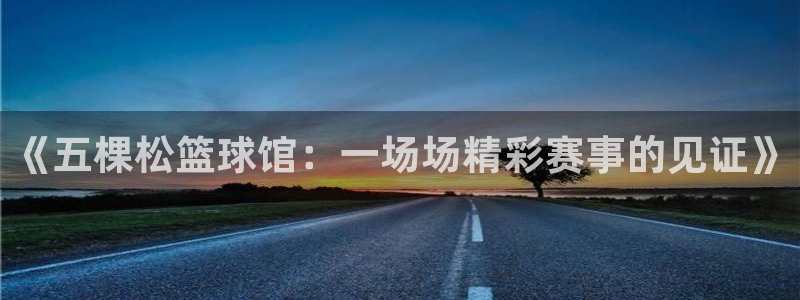 《五棵松篮球馆：一场场精彩赛事的见证》