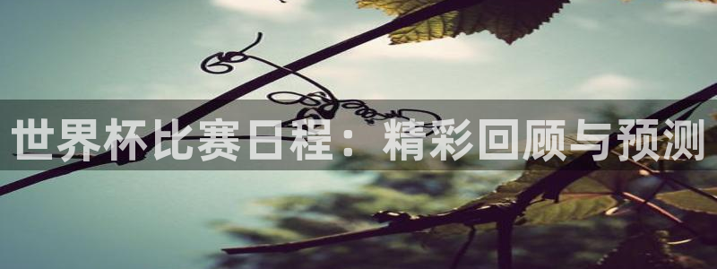 世界杯比赛日程：精彩回顾与预测