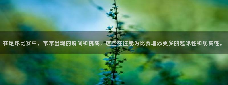 在足球比赛中，常常出现的瞬间和挑战，这些往往能为比赛增添更多的趣味性和观赏性。