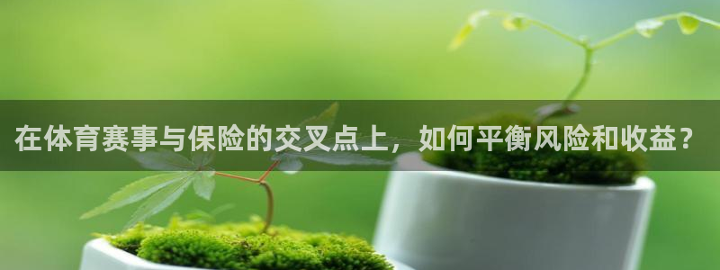 在体育赛事与保险的交叉点上，如何平衡风险和收益？