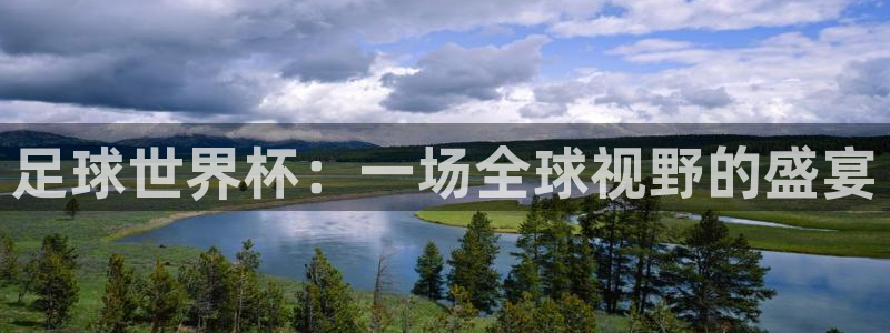 足球世界杯：一场全球视野的盛宴