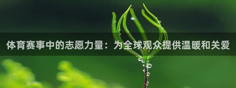 体育赛事中的志愿力量：为全球观众提供温暖和关爱