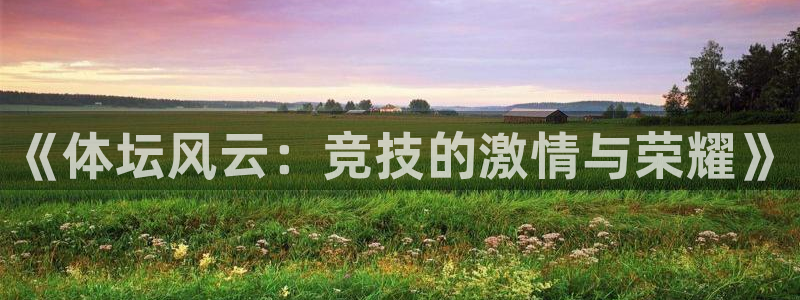 《体坛风云：竞技的激情与荣耀》