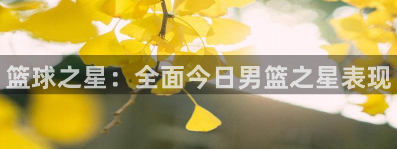 篮球之星：全面今日男篮之星表现
