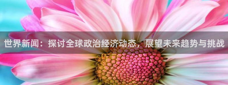 世界新闻：探讨全球政治经济动态，展望未来趋势与挑战