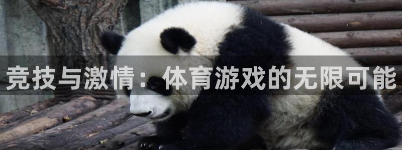 竞技与激情：体育游戏的无限可能