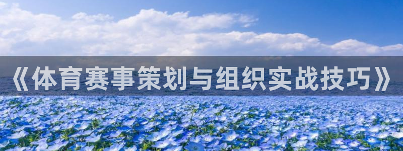 《体育赛事策划与组织实战技巧》